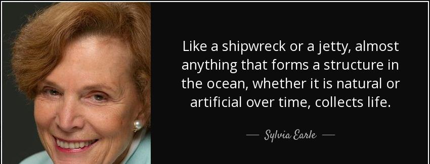 quote like a shipwreck or a jetty almost anything that forms a structure in the ocean whether sylvia earle Quotes