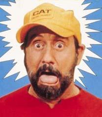 Ray Stevens quotes