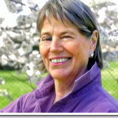 Gunilla Brodde Norris quotes