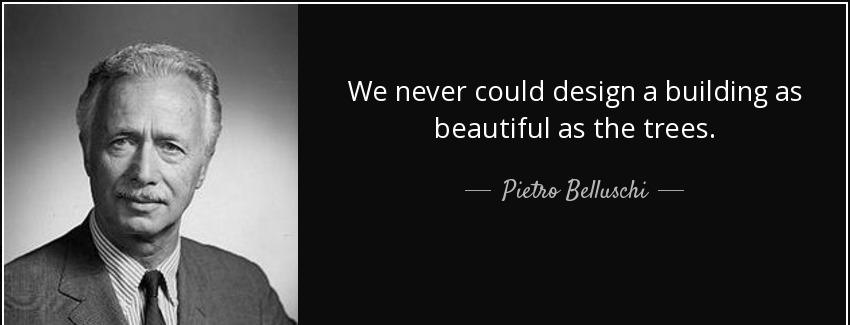 quote we never could design a building as beautiful as the trees pietro belluschi Quotes