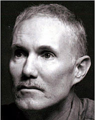 Andrew Holleran quotes