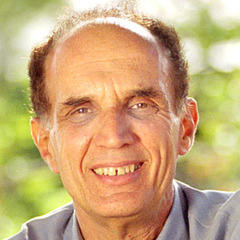 Bradley Efron quotes