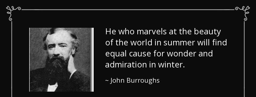 quote he who marvels at the beauty of the world in summer will find equal cause for wonder john burroughs Quotes