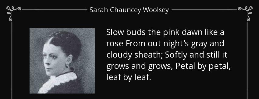 quote slow buds the pink dawn like a rose from out night s gray and cloudy sheath softly and sarah chauncey woolsey Quotes