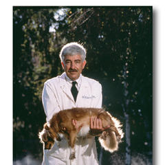 William C. Dement quotes