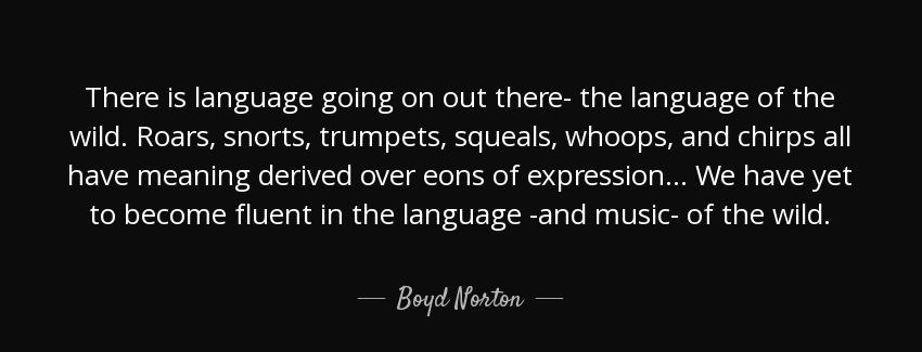 quote there is language going on out there the language of the wild roars snorts trumpets boyd norton Quotes