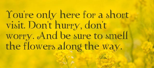 Quotation Walter Hagen You re only here for a short visit Don t Quotes