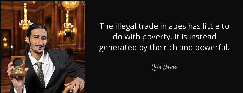 quote the illegal trade in apes has little to do with poverty it is instead generated by the ofir drori Quotes