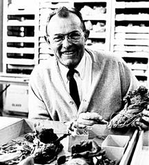 Jesse D. Jennings quotes