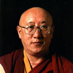 Bokar Rinpoche quotes