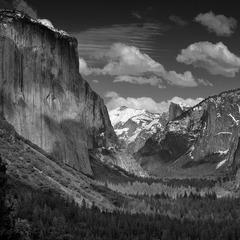 Clyde Butcher quotes