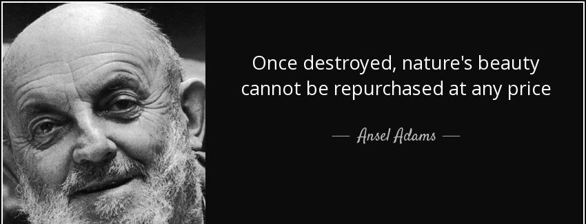 quote once destroyed nature s beauty cannot be repurchased at any price ansel adams Quotes