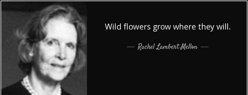 quote wild flowers grow where they will rachel lambert mellon Quotes