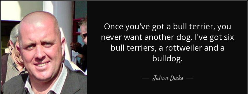 quote once you ve got a bull terrier you never want another dog i ve got six bull terriers julian dicks Quotes