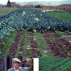 Eliot Coleman quotes