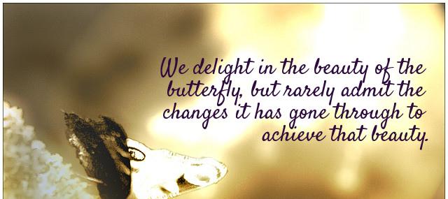 Quotation Maya Angelou We delight in the beauty of the butterfly but rarely Quotes