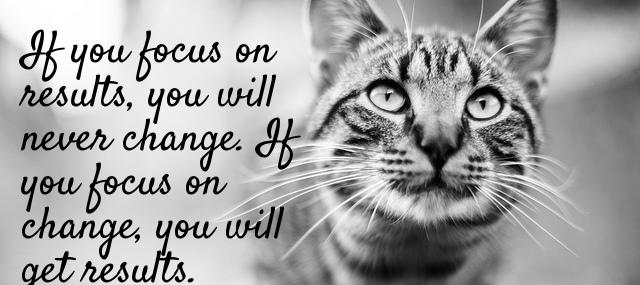 Quotation Jack Dixon If you focus on results you will never change If Quotes