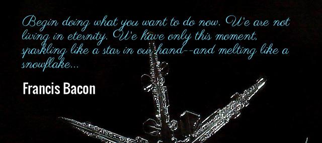 Quotation Francis Bacon Begin doing what you want to do now We are Quotes