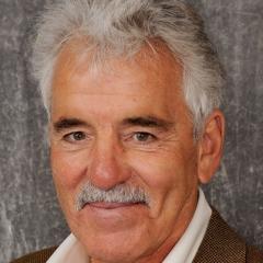 Dennis Farina quotes