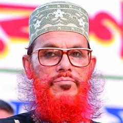 Delwar Hossain Sayeedi quotes