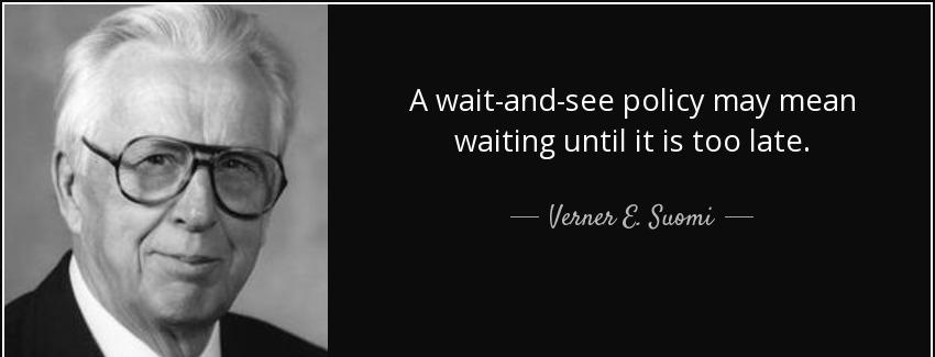 quote a wait and see policy may mean waiting until it is too late verner e suomi Quotes