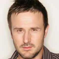 David Arquette quotes