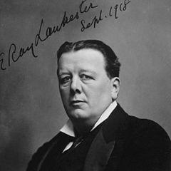 Ray Lankester quotes