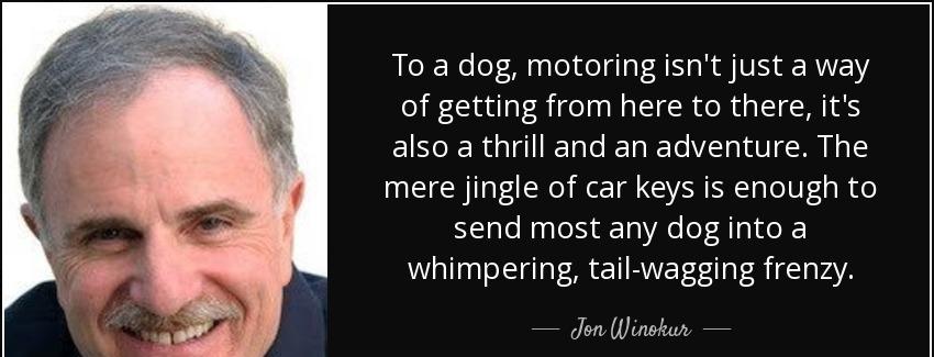 quote to a dog motoring isn t just a way of getting from here to there it s also a thrill jon winokur Quotes
