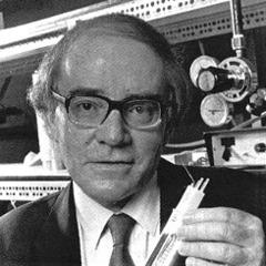 Martin Fleischmann quotes