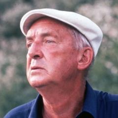 Vladimir Nabokov quotes
