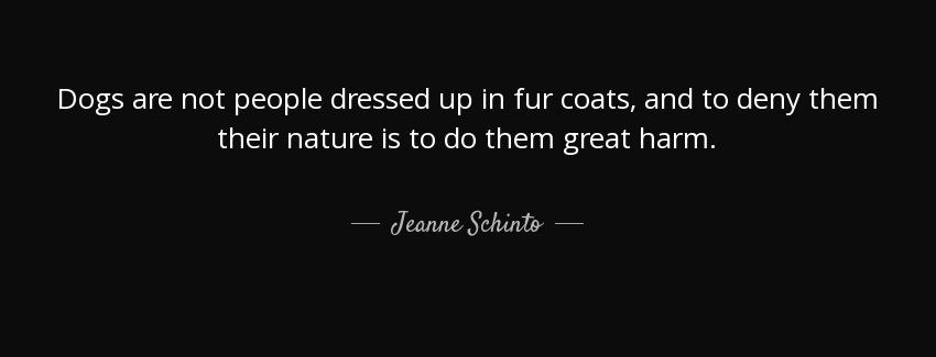 quote dogs are not people dressed up in fur coats and to deny them their nature is to do them jeanne schinto Quotes