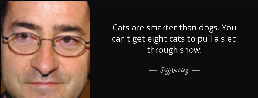 quote cats are smarter than dogs you can t get eight cats to pull a sled through snow jeff valdez Quotes