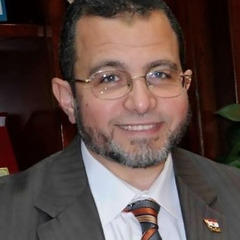 Hesham Qandil quotes