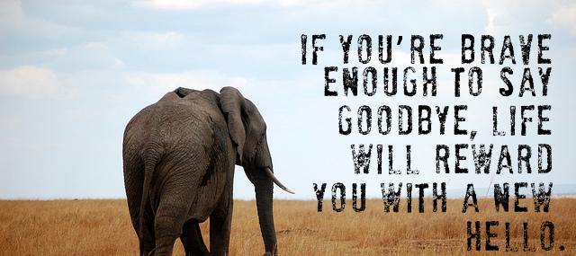 Quotation Paulo Coelho If you re brave enough to say goodbye life will Quotes