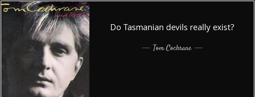 quote do tasmanian devils really exist tom cochrane Quotes