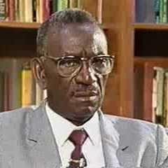 Cheikh Anta Diop quotes