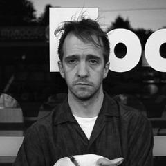 Stephin Merritt quotes