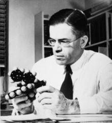 Paul Doughty Bartlett quotes