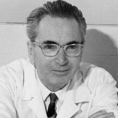 Viktor E. Frankl quotes