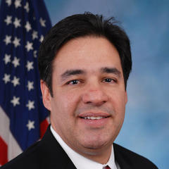 Raul Labrador quotes