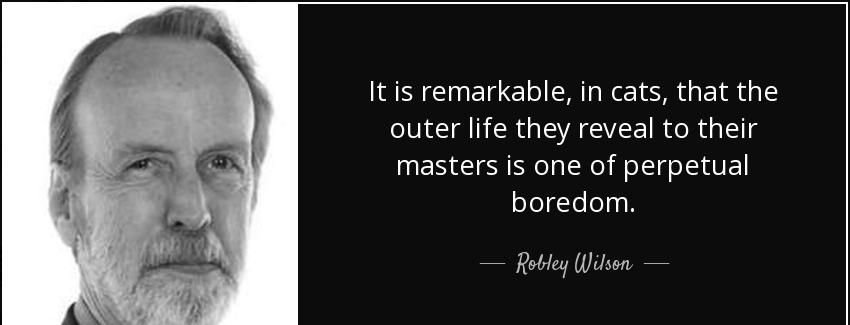 quote it is remarkable in cats that the outer life they reveal to their masters is one of robley wilson Quotes