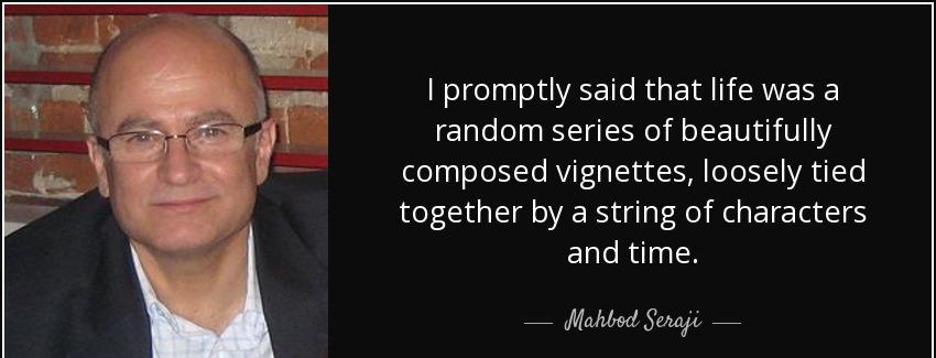 quote i promptly said that life was a random series of beautifully composed vignettes loosely mahbod seraji Quotes