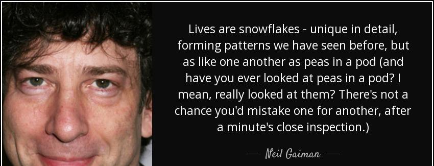 quote lives are snowflakes unique in detail forming patterns we have seen before but as like neil gaiman Quotes