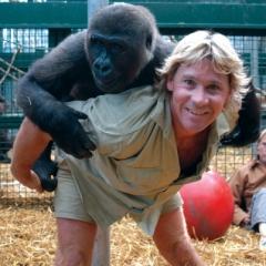 Steve Irwin quotes
