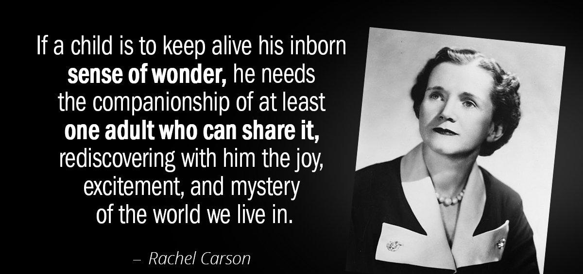Quotation Rachel Carson If a child is to keep alive his inborn sense Quotes