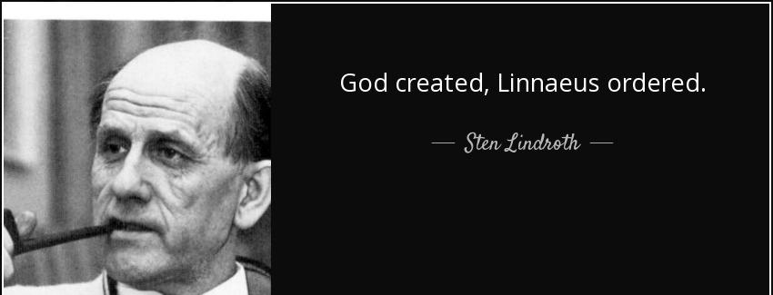 quote god created linnaeus ordered sten lindroth Quotes