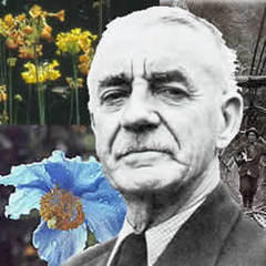 Francis Kingdon Ward quotes