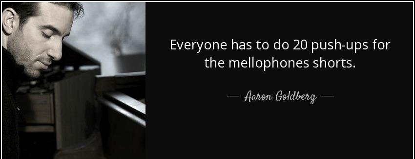 quote everyone has to do 20 push ups for the mellophones shorts aaron goldberg Quotes