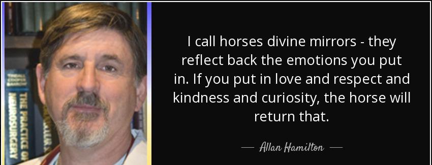 quote i call horses divine mirrors they reflect back the emotions you put in if you put in allan hamilton Quotes