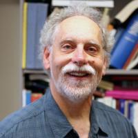 Andrea diSessa quotes